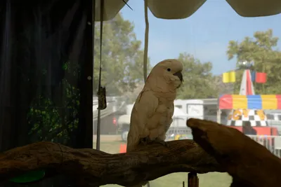 DSC_2313 (Large).JPG